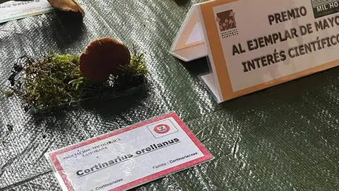 Exposición Micológica (14)