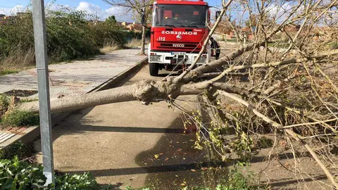 Actuación de los Bombero de Benavente sobre una de las carreteras