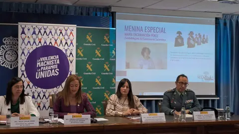 presentación Menina especial