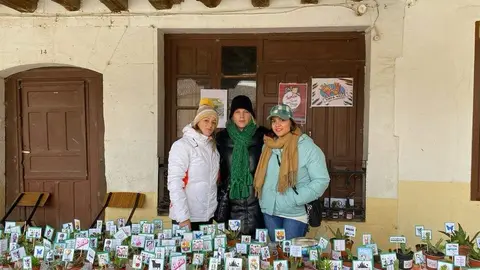  feria de los Santos Fuentesaúco 