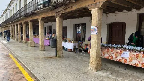  feria de los Santos Fuentesaúco _2