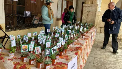  feria de los Santos Fuentesaúco _3