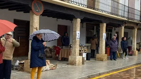  feria de los Santos Fuentesaúco _4