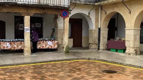  feria de los Santos Fuentesaúco _5