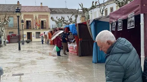  feria de los Santos Fuentesaúco _6