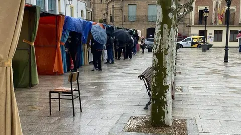  feria de los Santos Fuentesaúco _7