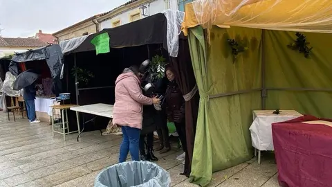  feria de los Santos Fuentesaúco _12