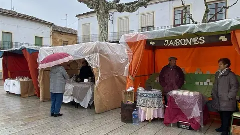  feria de los Santos Fuentesaúco _11