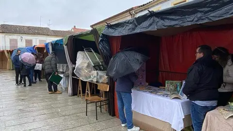  feria de los Santos Fuentesaúco _13