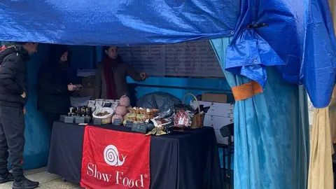  feria de los Santos Fuentesaúco _14