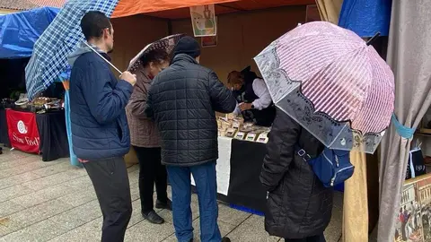  feria de los Santos Fuentesaúco _15