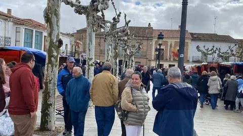  feria de los Santos Fuentesaúco _21