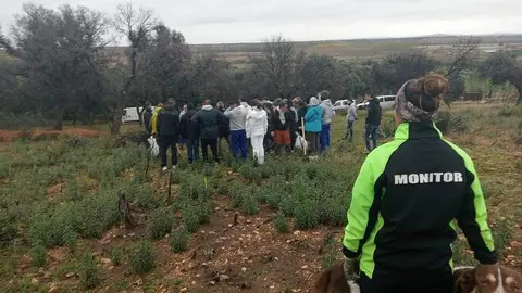 Reforestación en el Tera_4