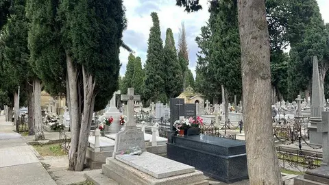 Cementerio de San Atilano (4). imagen de archivo