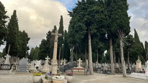 Cementerio de San Atilano (11)
