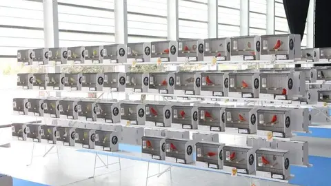  II Campeonato Ornitológico Regional de Castilla y León (4)