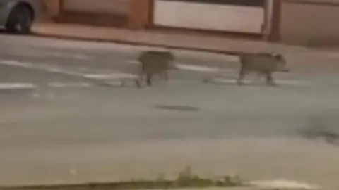 WhatsApp Image 2023-11-16 at 11.18.41