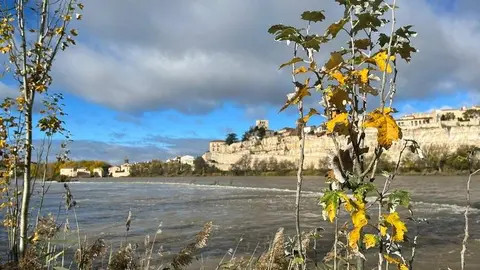 Catedral de Zamora (3)