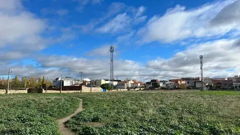 Día soleado en Zamora