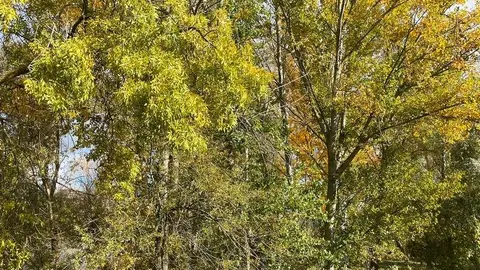 Zamora en otoño (5)