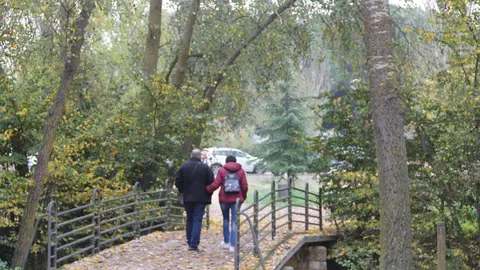 Paseo por el parque de Valorio