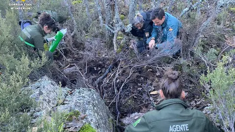 Localización de los restos del oso pardo en el Parque Natural 'La Montaña Palentina'. Fotografía: GC