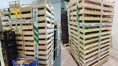 intervención producto ecologico