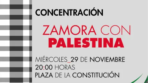 29N. Apoyo pueblo palestino