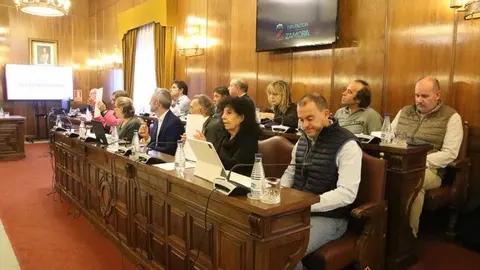 Pleno Diputación de Zamora (2)