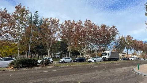 Avenida del Cardenal Cisneros