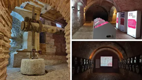 Bodega Toro