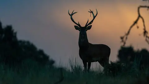 Imagen ganadora Villardeciervos