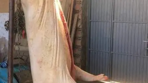 matanza en el Tera