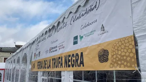 feria de la trufa negra