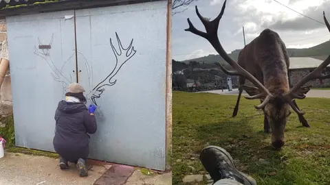 Una vecina de Linarejos dibuja la silueta del ciervo Carlitos en la puerta de un garaje. A la derecha, Carlitos a escasos metros de un vecino. Fotografías: CEDIDAS