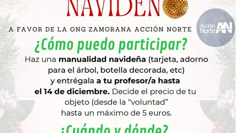 mercadillo solidario ong Acción Norte