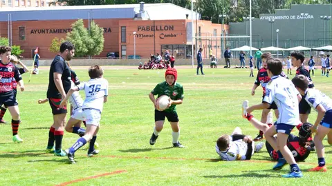Rugby cyl pequeños