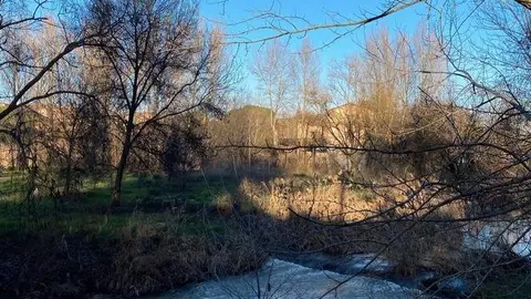 Día soleado y frío en Zamora