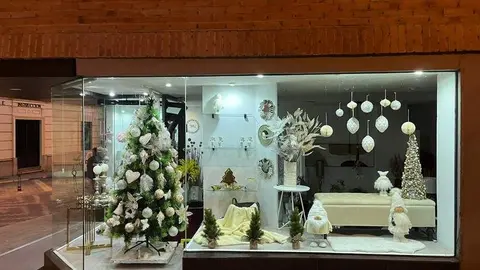 Escaparate navide&ntilde;o en Zamora (1)