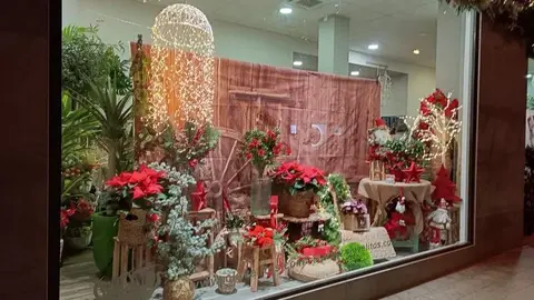 Escaparate navide&ntilde;o en Zamora (3)