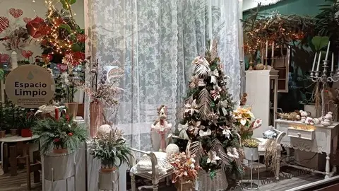 Escaparate navide&ntilde;o en Zamora (4)