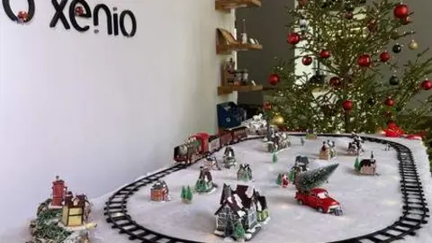 Escaparate navide&ntilde;o en Zamora (15)