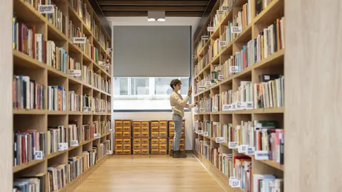 Mujer en una biblioteca. Imagen de archivo