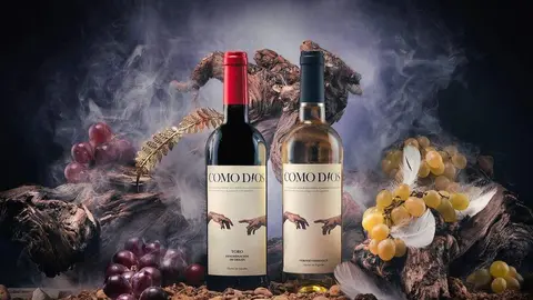 La influencer, Rocío Camacho, saca el vino 'Como Dios'. @pabloandresphoto