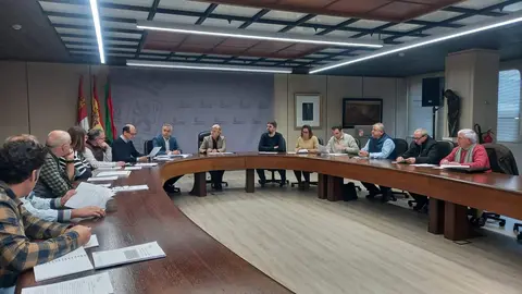 Comisión Territorial de Mejoras (3)