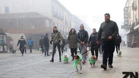 Pasada edición de la marcha San Perruno. Fotografía: Rocío Gato