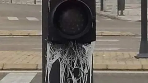 cencellada en Zamora 