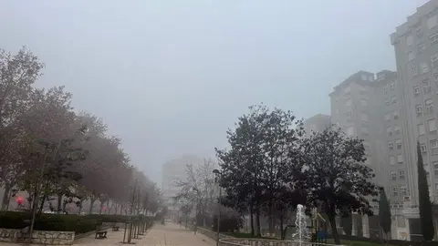 día de niebla en Zamora 