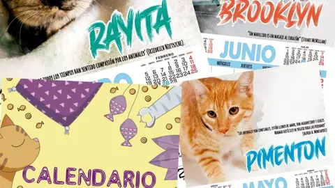 calendario solidario