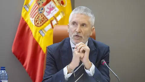 El ministro del Interior Fernando Grande-Marlaska